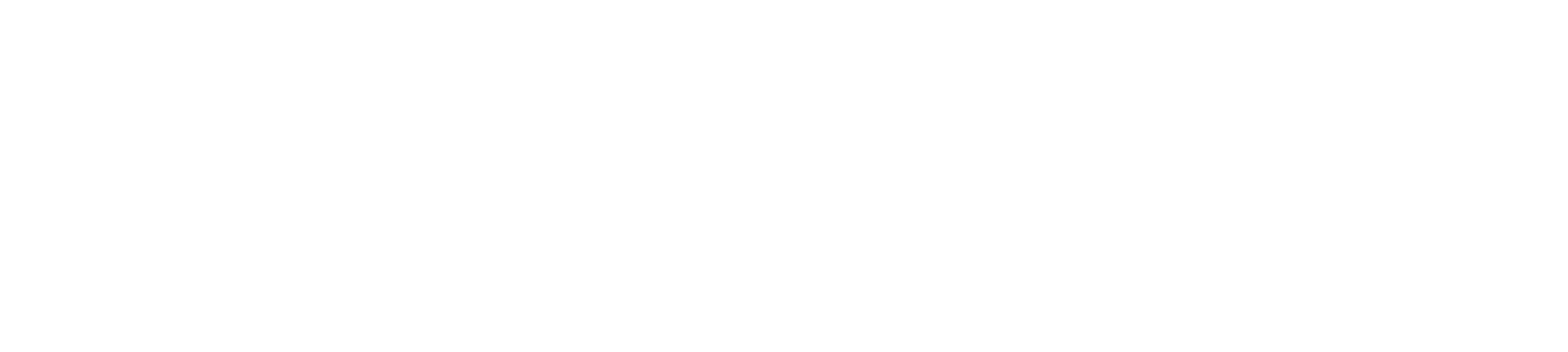 EU Flag